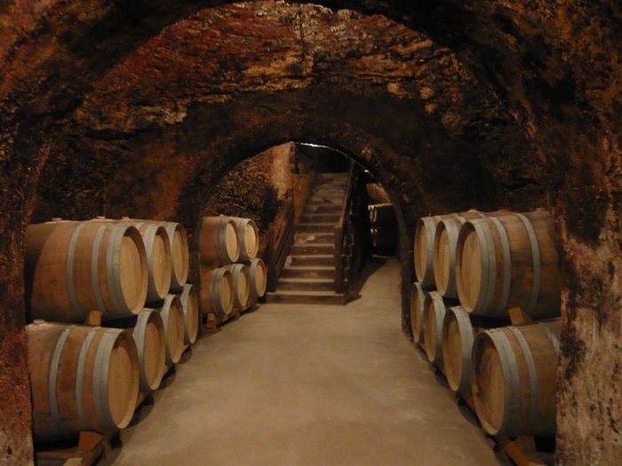 Madrid Region Wineries: Guided Tours and Tastings Tickets