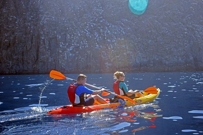 Tenerife Kayaking Tour and Snorkeling with Turtles and Rays Tickets