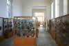 Archeological Museum of Mykonos