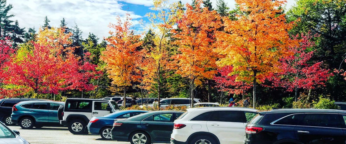 Boston to New Hampshire Fall Foliage White Mountains Tour