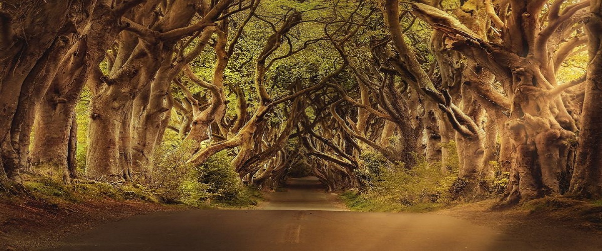 Game of Thrones Tour from Dublin