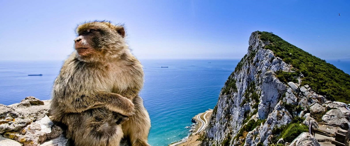 Gibraltar and Vejer Private Day Trip from Seville