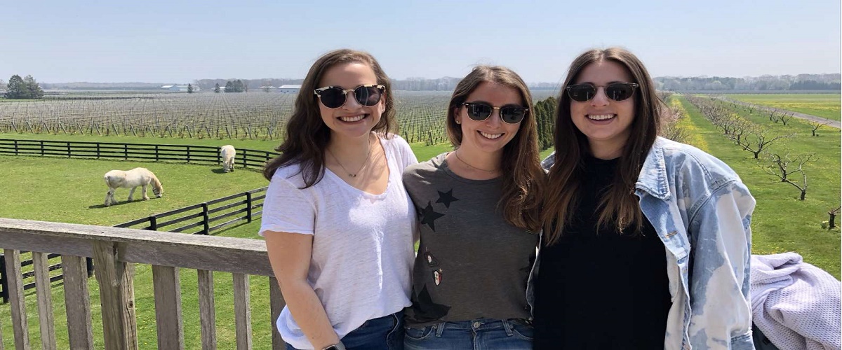 new york. 'day trip to 'Long Island Vineyard