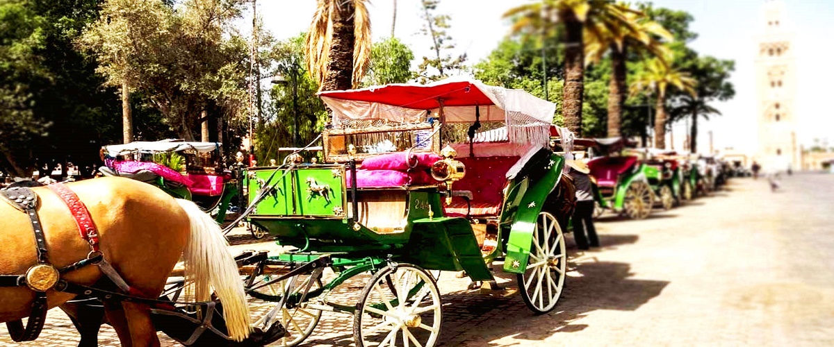 Marrakech Private Horse-Drawn Carriage Ride