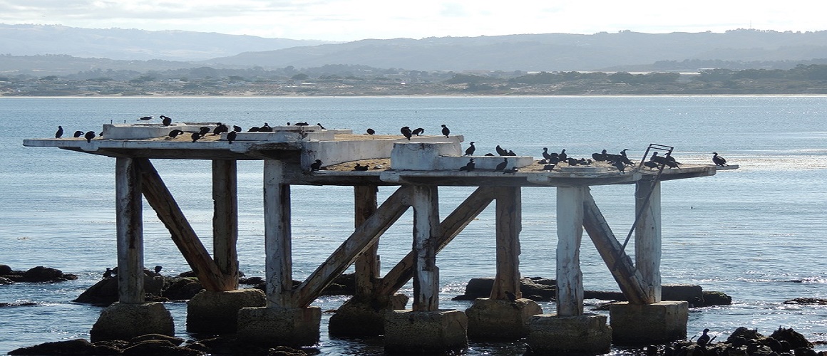 Monterey Bay and Carmel-by-the-Sea Day Tour from San Francisco