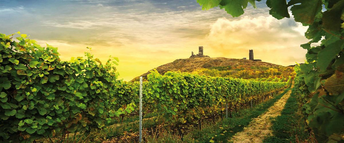 Prague Bohemian Wine Tasting and Countryside Small-Group 4x4 Day Trip with Lunch