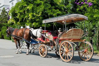 Princes’ Island Tour from Istanbul: Büyükada