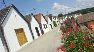 Wine Country Day Trip to Villány (from Budapest)