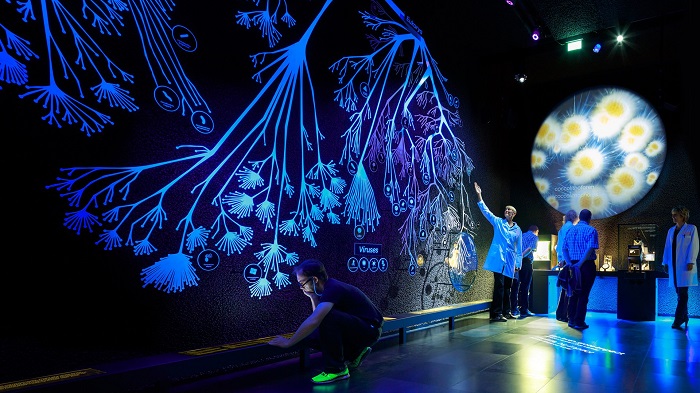 The Museum of Microbes, Amsterdam