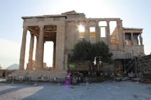 The Olive Tree of Pandroseion