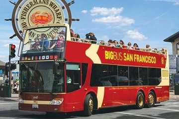 Coastal Redwoods Visit with San Francisco Hop-On Hop-Off Tour