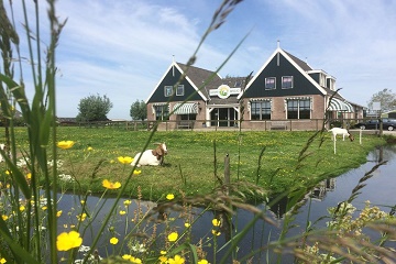 Amsterdam Hop-on-hop-off to Zaanse Schans, Edam & Volendam