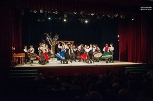 Hungarian Folk Performance Tickets