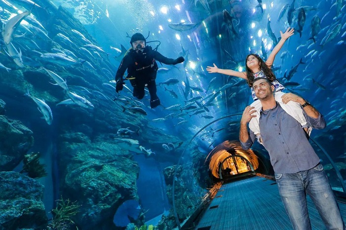 Dubai Aquarium & Underwater Zoo Skip the Line Ticket Tickets