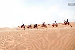 Dubai Desert Sunrise Camel Trek with Breakfast Tickets