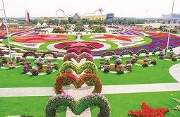 Dubai Flora and Fauna 4-Hour Tour Tickets