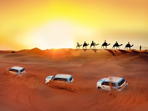 Red Dunes & Camel Safari with Sand boarding, Falconry, and BBQ Tickets