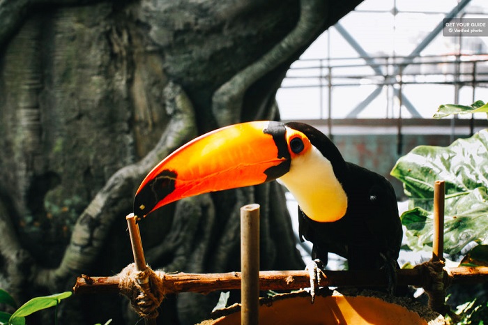 The Green Planet Dubai: Unique Indoor Rainforest Tickets