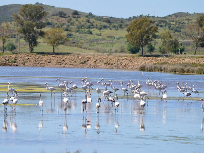 Ria Formosa Bike Tour Tickets