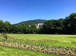 Black Forest and Baden-Baden Day Trip from Frankfurt Tickets
