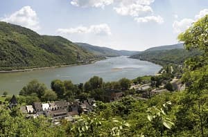City Highlights Tour plus Rhine Valley Cruise and Wine Tasting Tickets