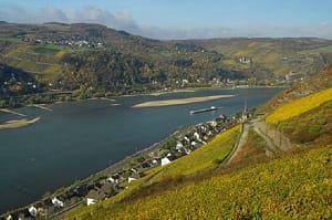 Frankfurt to Rhine with Wine Tasting Day Trip Tickets