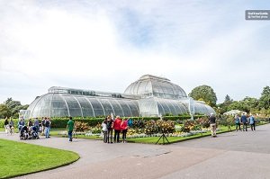 Kew Gardens and Palace Tickets Tickets