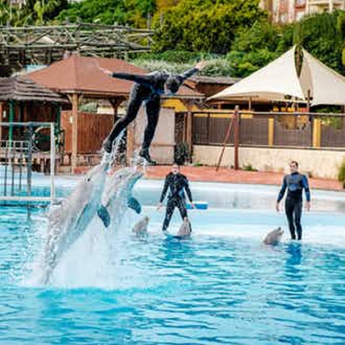 Malaga Selwo Marina Tickets