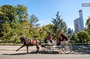 Central Park Horse and Carriage Ride Tickets