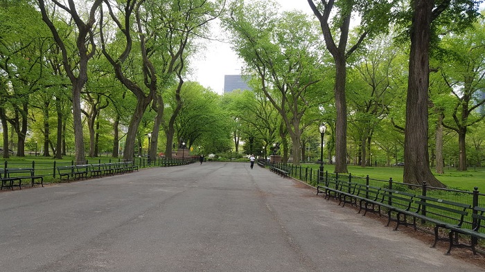 New York City: Central Park Walking Tour Tickets