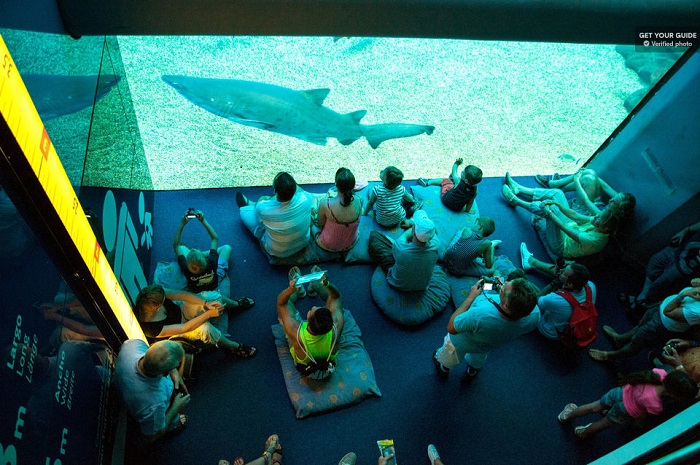 Palma Aquarium Ticket Tickets