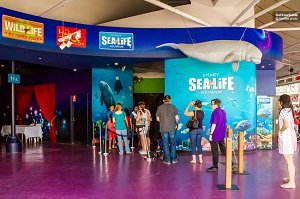 Combo Ticket: Aquarium, Madame Tussauds, Wild Life Sydney Tickets