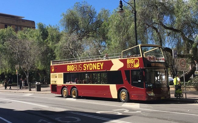 Sydney Hop-On-Hop-Off Bus Pass with Cruise & Sydney Tower Tickets