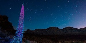 Teide Night Experience with Dinner and Stargazing Tickets