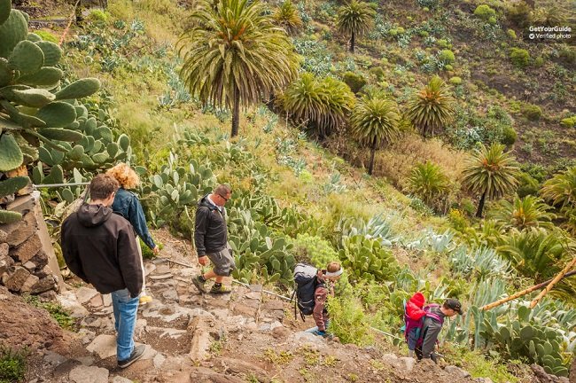 Tenerife Masca Gorge 1-Day Hiking Tour with Picnic Tickets