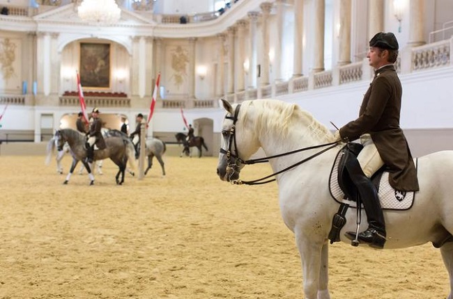 Spanish Riding School Guided Tour, Vienna Tickets