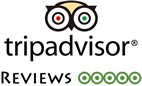 TripAdvisor Review