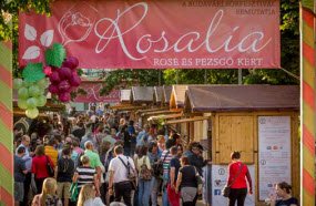 rosalia-ros-festival